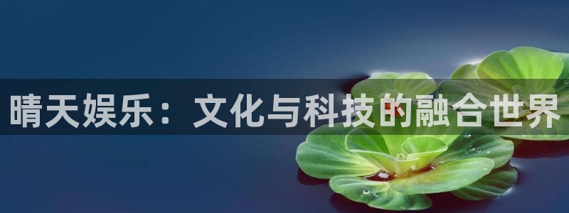 太阳成集团tyc9728：晴天娱乐：文化与科技的融合世界