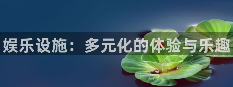 太阳成集团tyc9728：娱乐设施：多元化的体验与乐趣