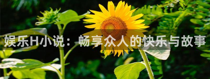 太阳成集团tyc9728：娱乐H小说：畅享众人的快乐与故事