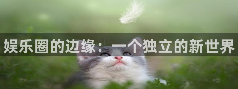 太阳成集团tyc9728：娱乐圈的边缘：一个独立的新世界