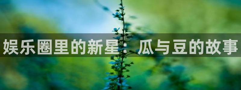 太阳成集团tyc9728：娱乐圈里的新星：瓜与豆的故事
