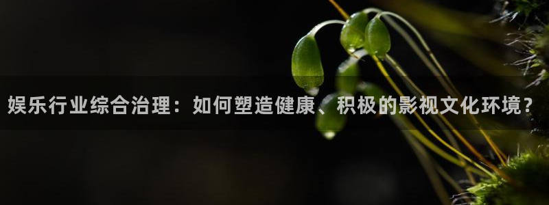 太阳成集团tyc9728：娱乐行业综合治理：如何塑造健康、积极的影视文化环境？