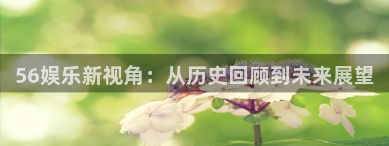 太阳成集团tyc9728：56娱乐新视角：从历史回顾到未来展望