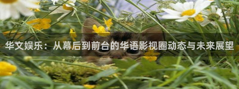 太阳成集团tyc9728：华文娱乐：从幕后到前台的华语影视圈动态与未来展望