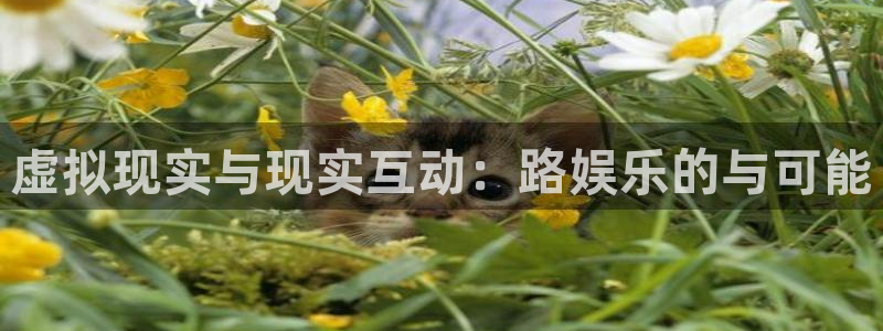 太阳成集团tyc9728：虚拟现实与现实互动：路娱乐的与可能