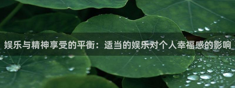 太阳成集团tyc9728：娱乐与精神享受的平衡：适当的娱乐对个人幸福感的影响