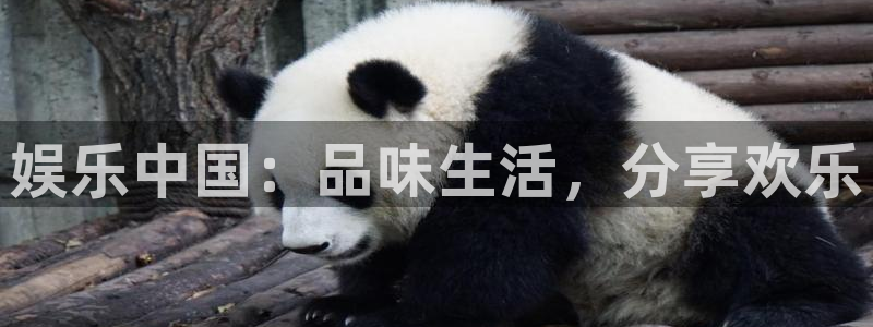 太阳成集团tyc9728：娱乐中国：品味生活，分享欢乐