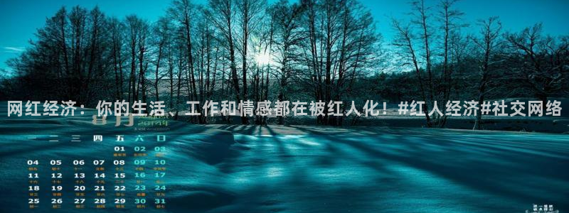 太阳成集团tyc9728：网红经济：你的生活、工作和情感都在被红人化！#红人经济#社交网络